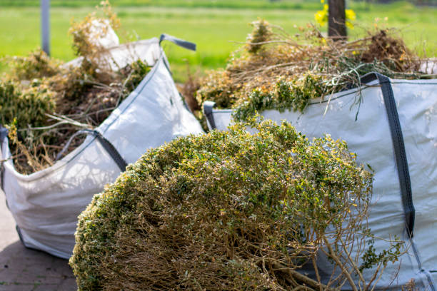 Best Estate Cleanout Services  in Woodstock, VA