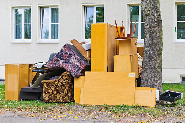Yard Cleanup Services in Woodstock, VA